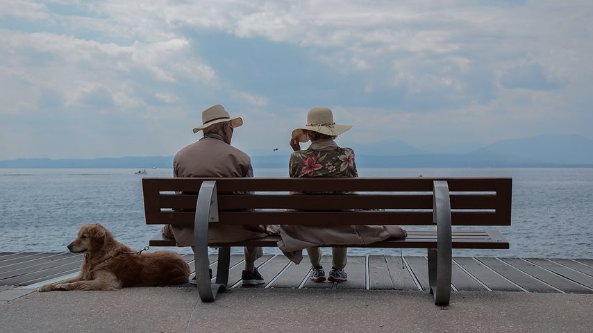 Ældre par med hund på en bænk
